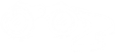 Vision